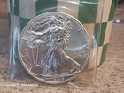2013 American Silver Eagle 1 Troy Oz .999 Pure Fine Silver