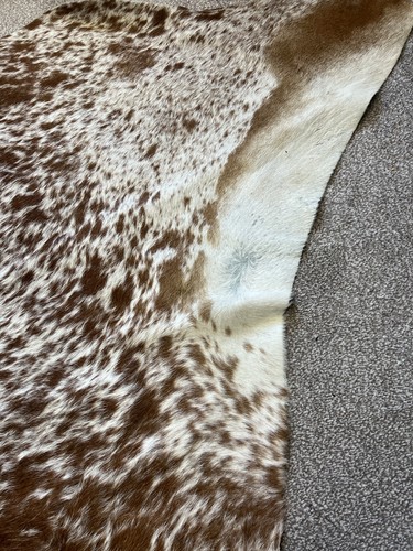 A Real large Cow Hide Rug Brown tan Cow Skin, Exotic Rugs, Country Decor - Imagen 8 de 21