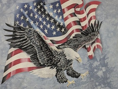The Mountain Mens T-shirt Blue ''Eagle Talon Flag''  Retired Logo XL #5434