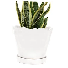  ‘Tika’ Ceramic Planter Pot — Large 8" Succulent Pots for Indoor & White