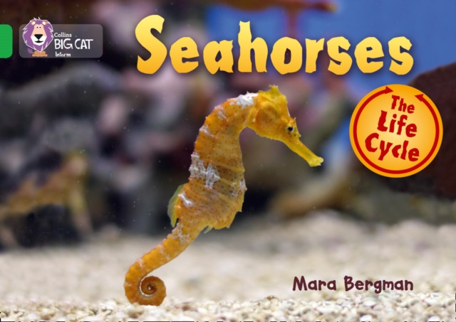 Seahorses 9780007461912 Mara Bergman - Free Tracked Delivery