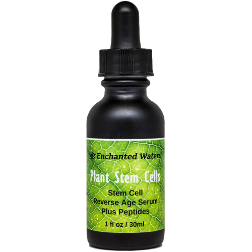 STEM CELL SERUM Anti-Aging REAL Stem Cell Cultures Matrixyl 3000 Hyaluronic Acid