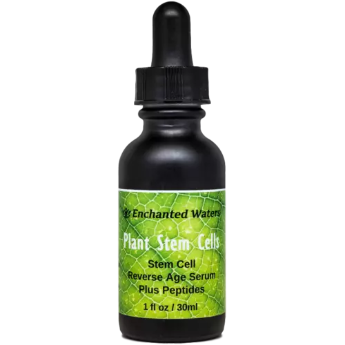 Stem Cell Serum Anti Aging Real Stem Cell Cultures Matrixyl 3000 Hyaluronic Acid