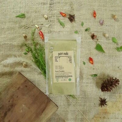 Sensitive Plant Sleepy Shy Powder Mimosa Pudica Herb Spices Fresh Pure Premium