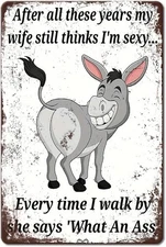 Donkey Sarcastic Vintage Metal Tin Sign - Rustic Wall AS PICTURE SHOW-0042 