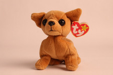 Ty Beanie Baby - TINY the Chihuahua Dog 5" Plush Stuffed Animal Toy