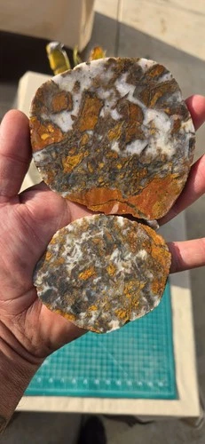 Two multicolor Cali. Brecciated Jasper slabs for cabachons and jewelry making.