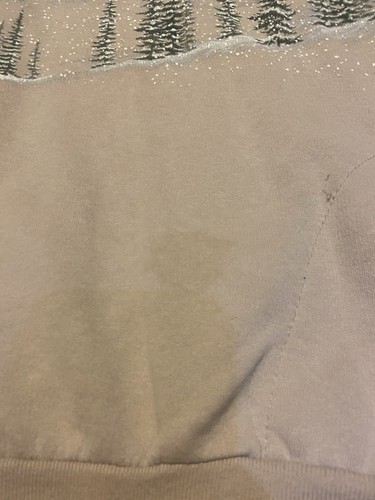 Sudadera Vintage Años 90 Águila Paisaje Naturaleza AOP Estampado Completo - Imagen 4 de 17