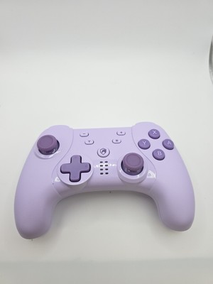 Echtpower Controller Es03 Wireless Nintendo Tested