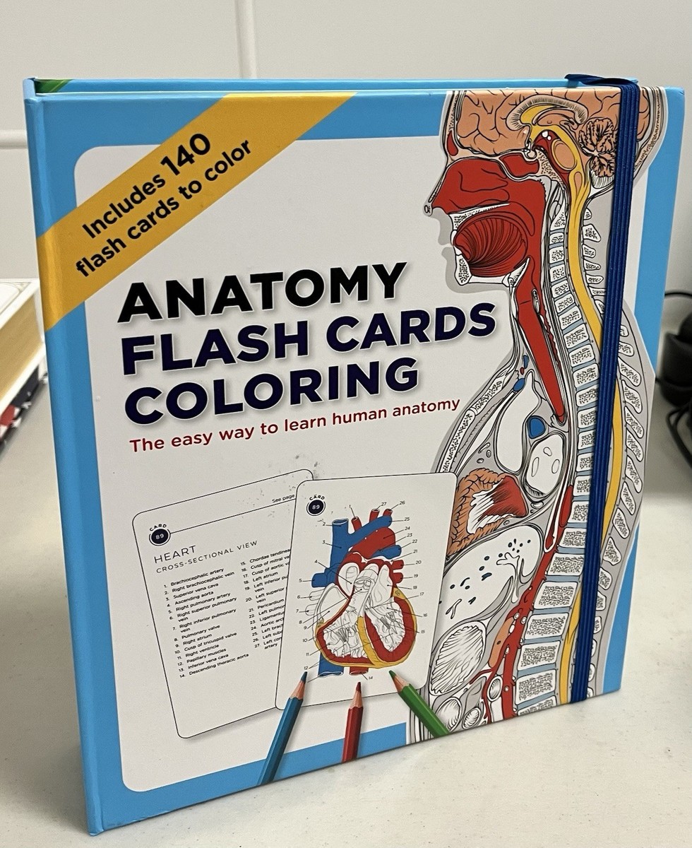 ハート Anatomy Flash Cards Coloring LIKE NEW | eBay
