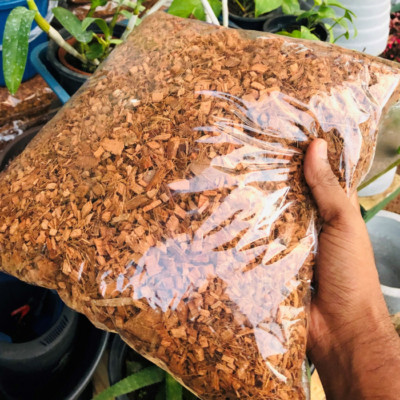 Coconut Husk Chips  Husk fiber Orchids Anthdrium Growing Medium Free shipping