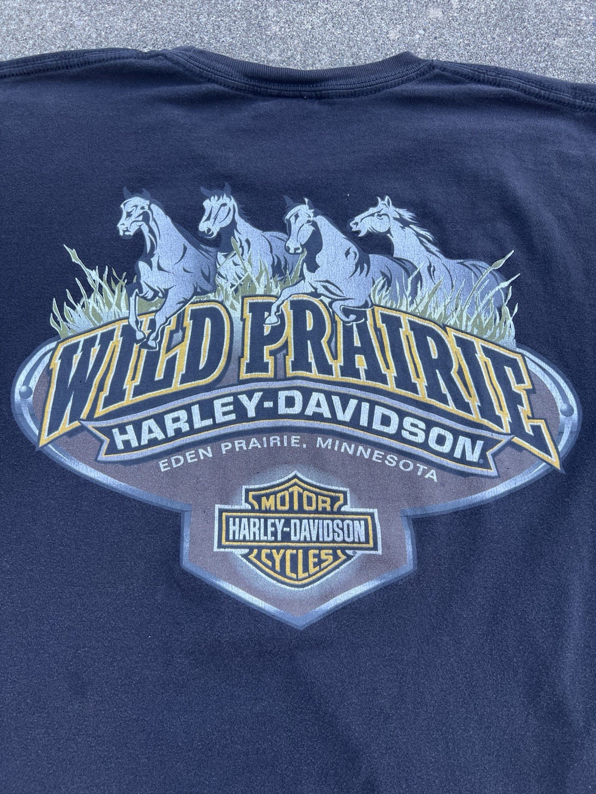 Harley Davidson Chrome Script Eagle Eden Prairie,… - image 5