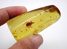 Baltischer Bernstein mit vielen Inklusen