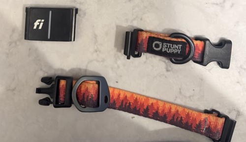 Fi Tracking Dog Collar Size Small With Chip