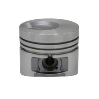 Kolben (1,00 Mm ÜBergrößE – 73,00 Mm): Kompatibel Mit Lombardini / LDW 602 / LDW