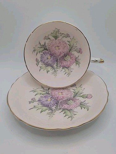 Paragon Fine Bone China Teacup Saucer Blush Pink Thistle Green Leaves 1960's - Picture 3 of 12