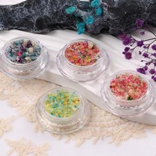 Nail Art Dried Flower Decoration Spring and Summer Dried B8J7 Flower G4D6 PLM