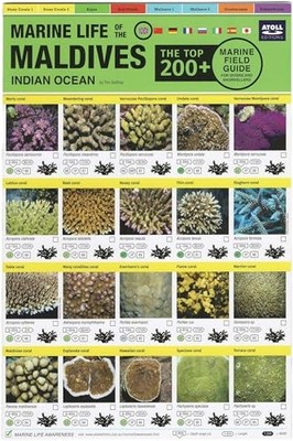 Tim Godfrey - Maldives Marine Life Field Guide   Top 200 - Fold-out  - G245z