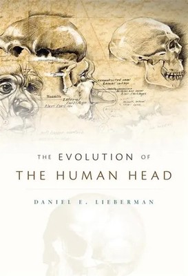 Daniel E. Lieberman | Evolution of the Human Head | Buch | Englisch (2011)