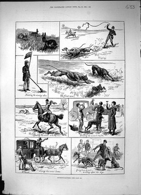 Original alter antiker Druck 1882 Hase Coursing Streichhölzer Pferde Sporthunde Hunde