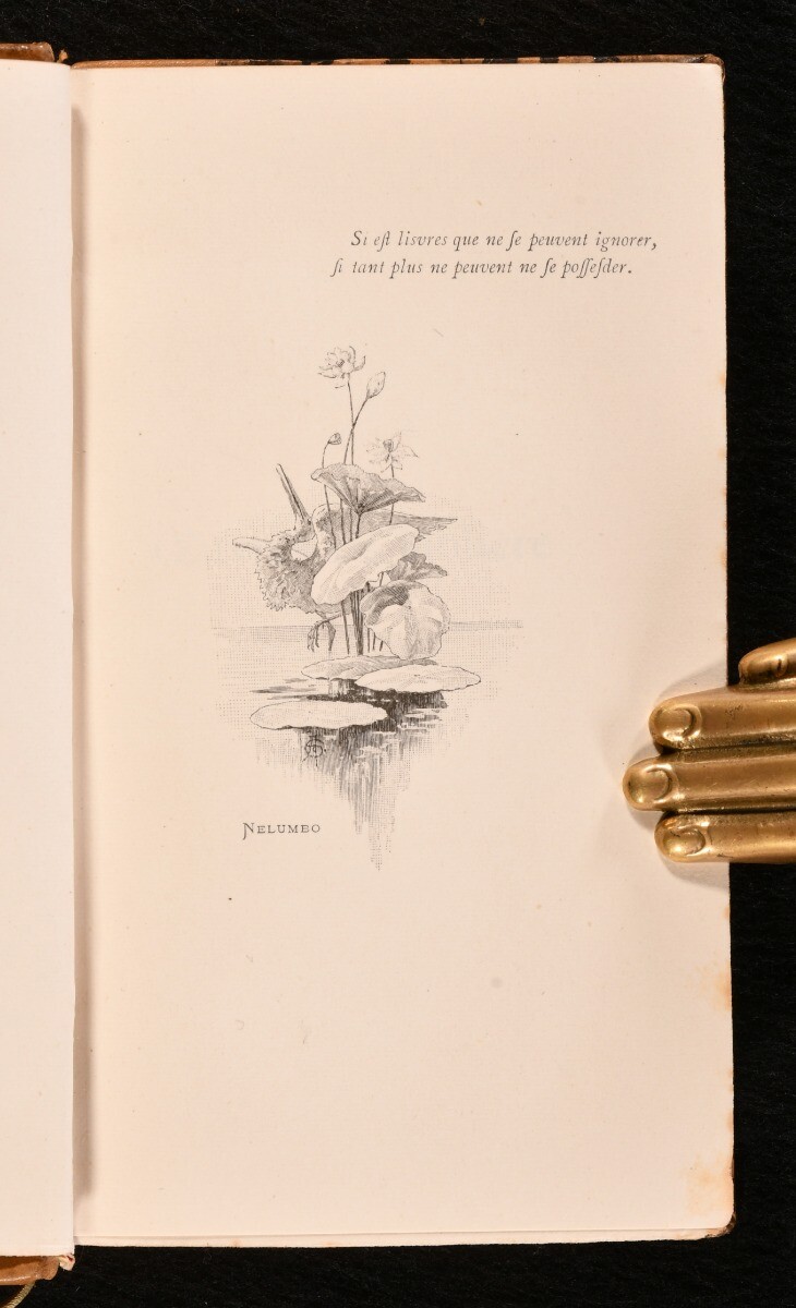 1893 12vol Oeuvres Completes De Moliere Illustrated Fournier First