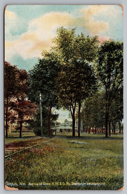 Postcard Togus Maine ME Avenue of Elms A W & G Railroad Station
