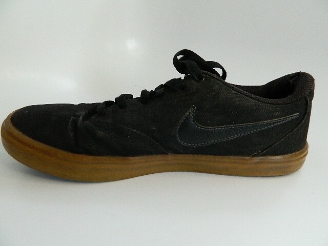 men's sb check solar canvas skate shoe