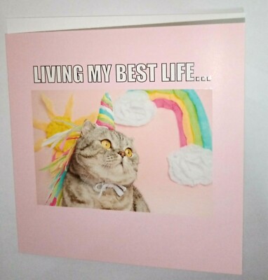 Restposten x60 UVP 150£ Gruß Blanko Karte LIVING MY BEST LIFE Katze Einhorn Regenbogen