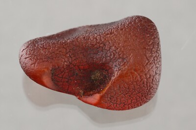 Genuine BALTIC AMBER Natural Raw Rough Drop Nugget Piece Stone 8.4g 220510-9