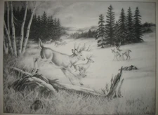  * TRI CHEM 8811 BRUSH FIRE BUCK DEER  Picture TRICHEM