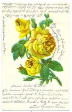 Flowers, Rose, Roses, 1905