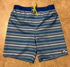 Laguna Hawaiian Men  s Sz L Blue Striped Lined Board Swim Shorts