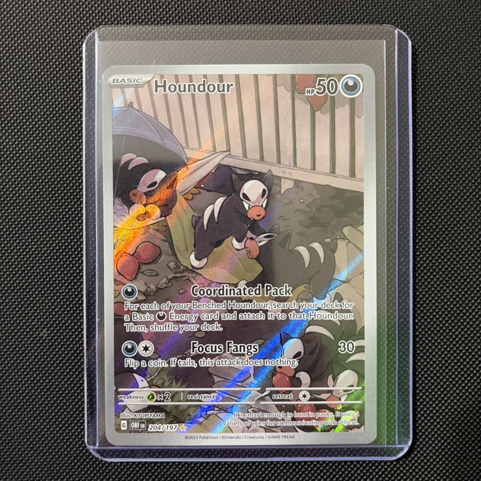 Houndour 204/197 Illustration Rare Obsidian Flames Pokemon Near Mint