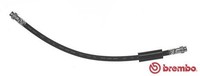 Brembo Bremsschlauch T 23 195 FüR CitroËN Fiat Peugeot Toyota