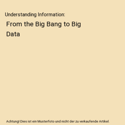 Understanding Information: From the Big Bang to Big Data