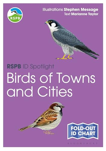 RSPB ID Spotlight - Birds of Towns by Marianne TaylorStephen Me - PB - 2025 - Image 2