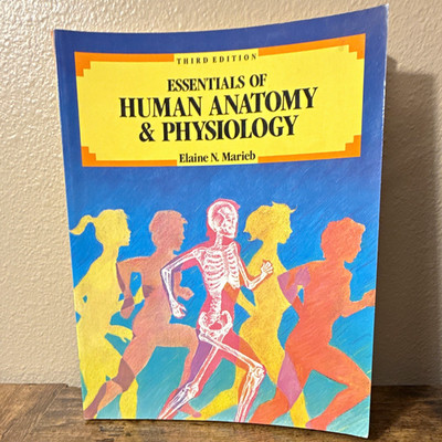 Essentials of Human Anatomy & Physiology 3rd Ed Illus PB Marieb