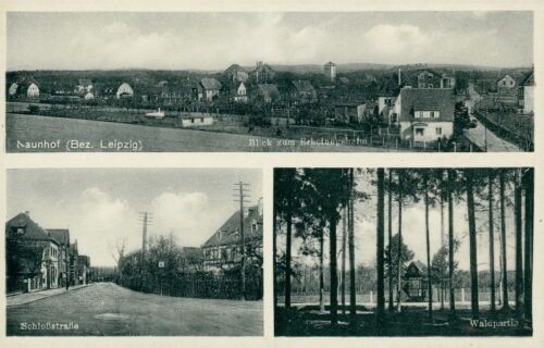Postcard Naunhof ref. Leipzig Castle Road Forest Lot (No.9253)