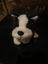 Plush Gracie Berrie Frazier Dog Black  White 9  Stuffed Animal Boston Terrier
