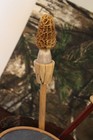 Custom Made Sycamore  Wood Turkey Pot  Call with Two Round Tip  Rod  Strikers — photo 4
