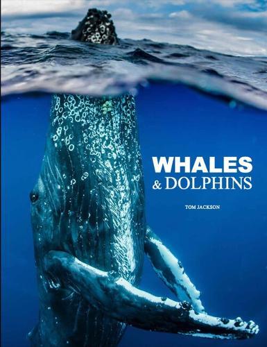 Tom Jackson Whales & Dolphins (Copertina rigida) Animals in Photographs
