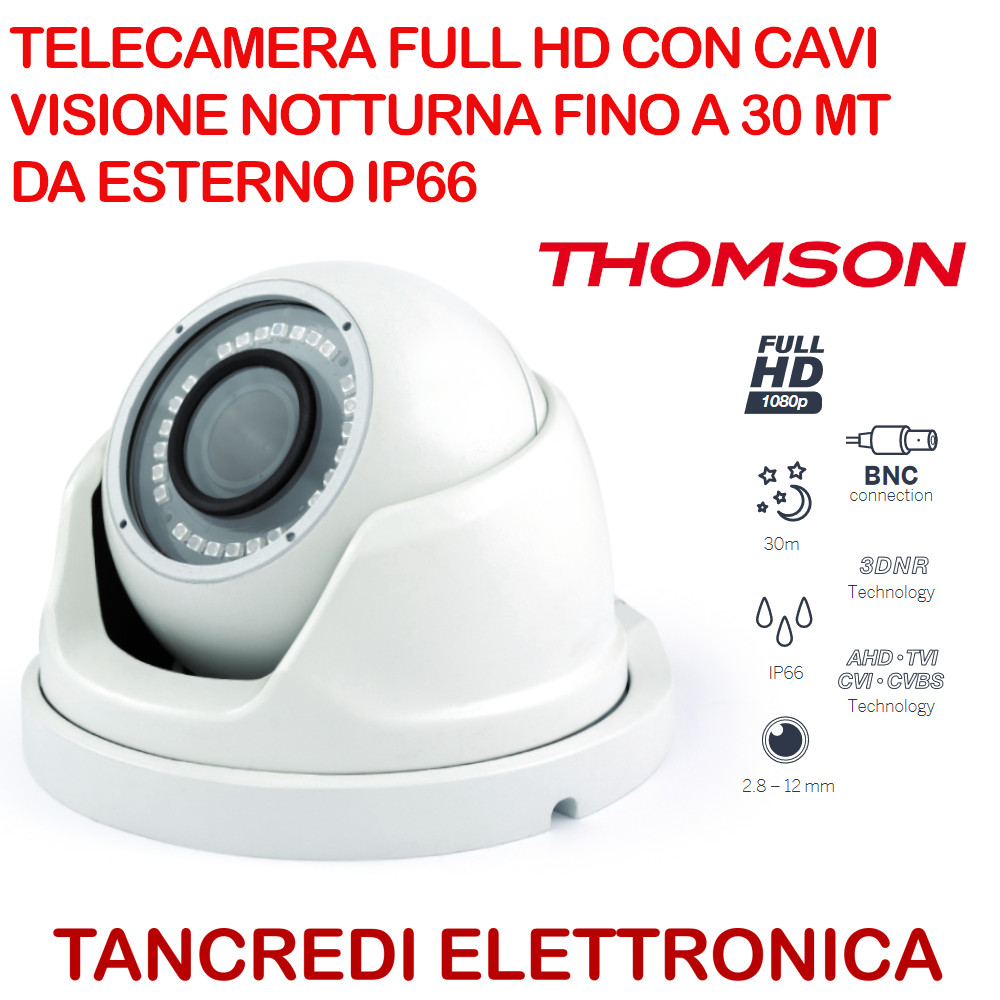 Telecamera Full HD 1080p Esterno IP66 Visione Notturna 30mt Professionale