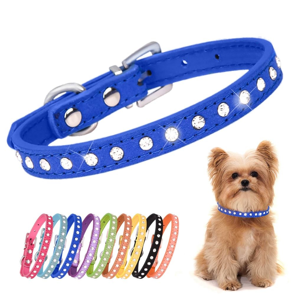 Collier pour chiot cristal coloré pour balades urbaines