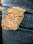 This Rock Looks Like President Donald Trump! Happy Fourth Of July!  Artifact — photo 4