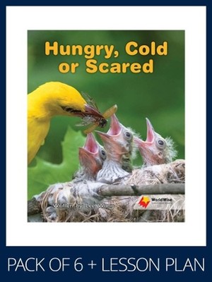 WorldWise Guided Reading Pack Level 13-14, Pack 3: Student book (x6) and lesson