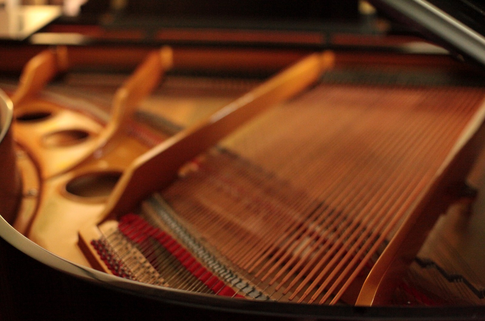 grand piano, 5'3" gainesville fl, matching bench and books included eBay