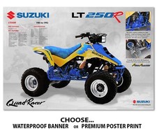 1991 Suzuki Quadracer LT 250R Banner Poster Flyer Brochure Art Decal lt250R 250
