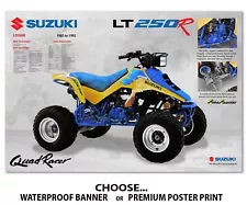 1991 Suzuki Quadracer LT 250R Banner Poster Flyer Brochure Art Decal lt250R 250