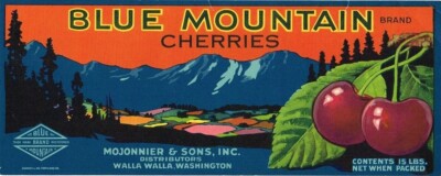 BLUE MOUNTAIN Brand Cherries WALLA WALLA Retro Fruit Crate Label Art Print