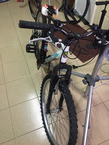 MTB 24 Bottecchia | eBay